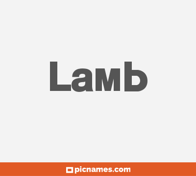 Lamb