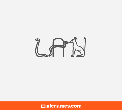 Lan