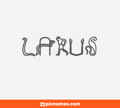 Larus