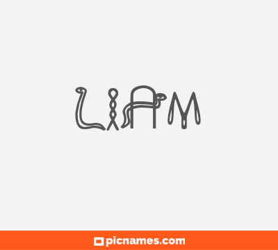 Liam