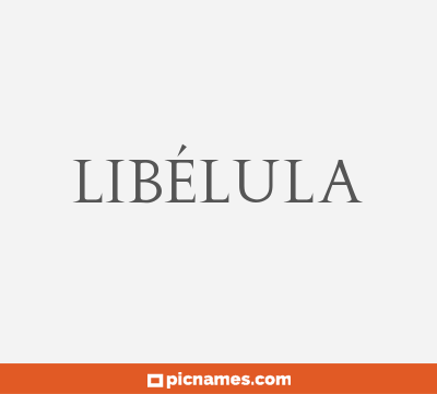 Libélula