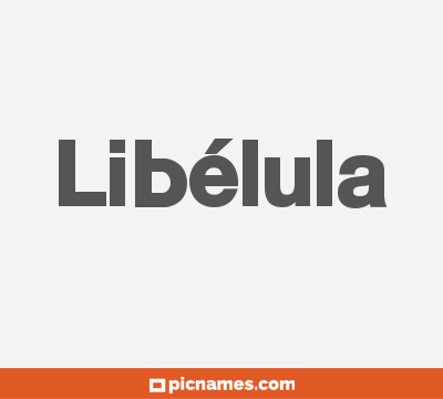 Libélula