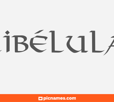 Libélula