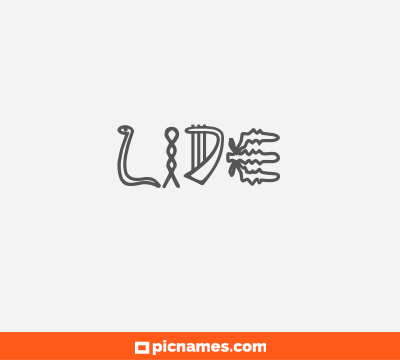 Lide