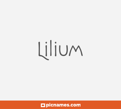 Lilium