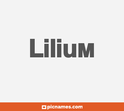 Lilium