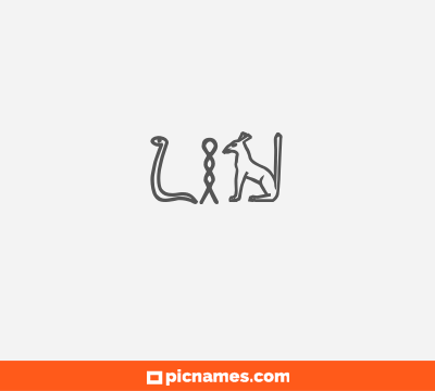 Lin
