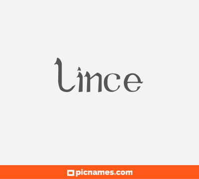 Lince