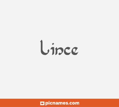 Lince