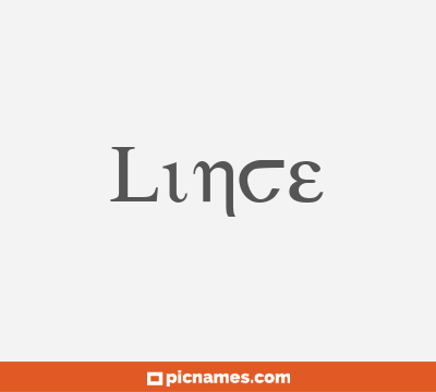 Lince