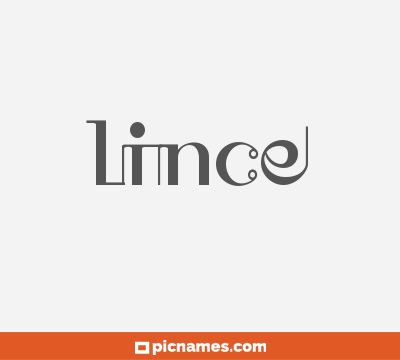 Lince