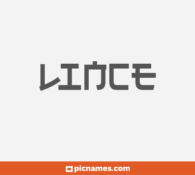 Lince