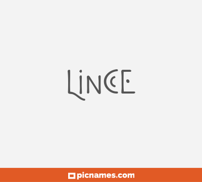 Lince