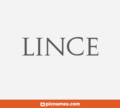 Lince