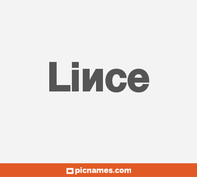 Lince