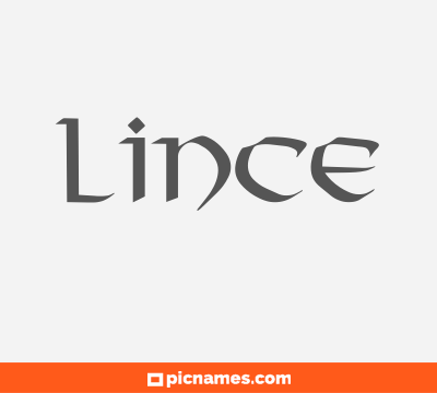 Lince