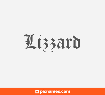 Lizzard