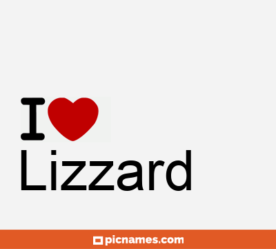 Lizzard