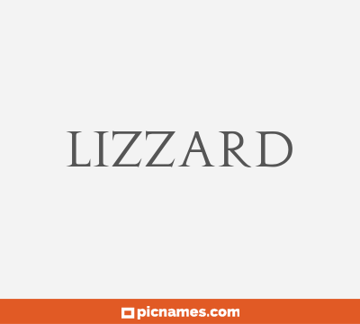 Lizzard