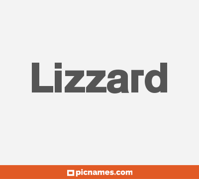 Lizzard