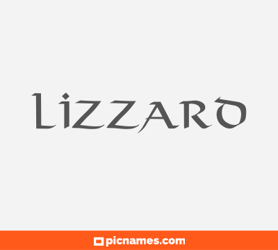 Lizzard