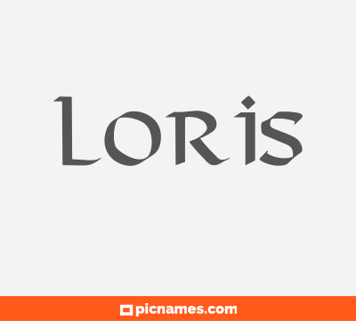 Loris