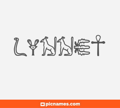 Lynnet