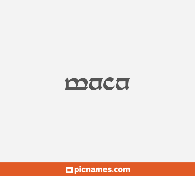 Maca