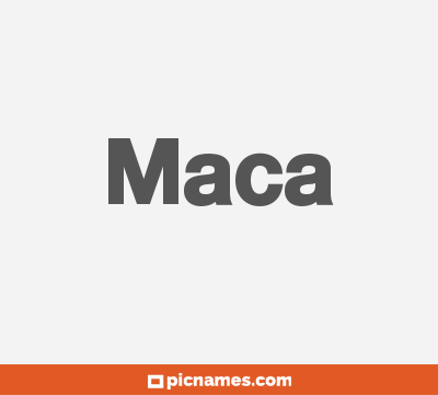 Maca