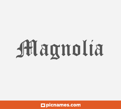 Magnolia