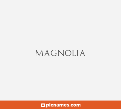 Magnolia