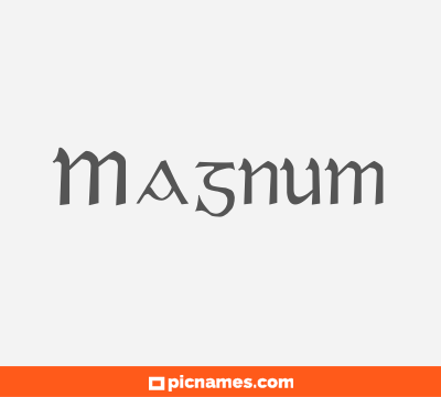 Magnum