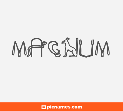 Magnum