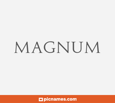 Magnum