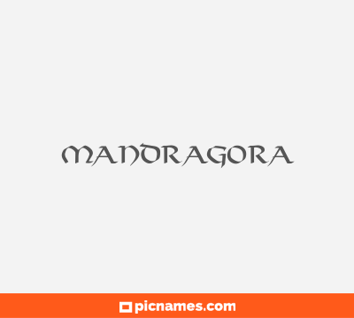 Mandragora