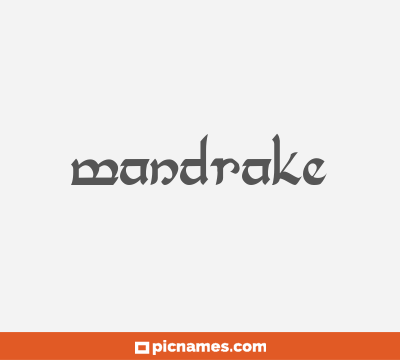 Mandrake