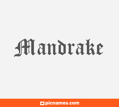 Mandrake