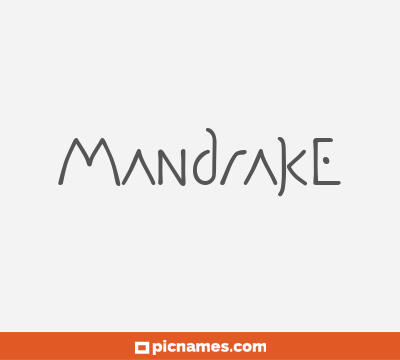 Mandrake