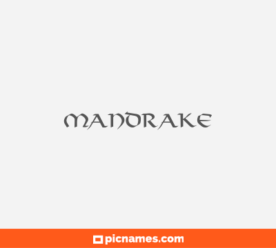 Mandrake