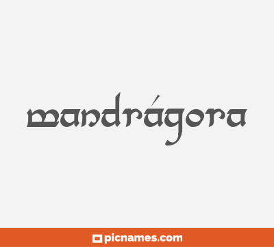 Mandrágora