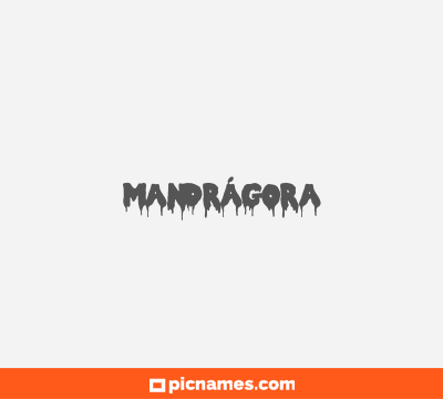 Mandrágora