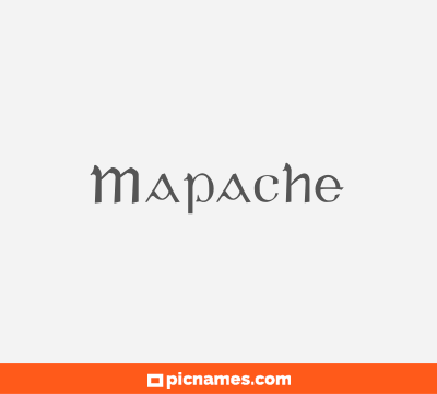 Mapache