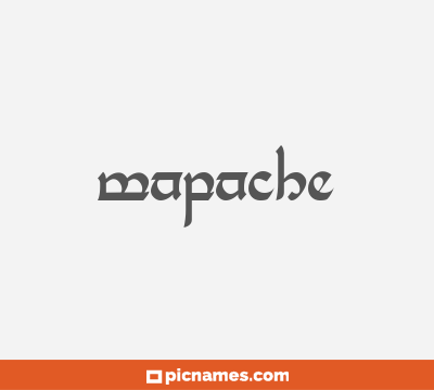 Mapache