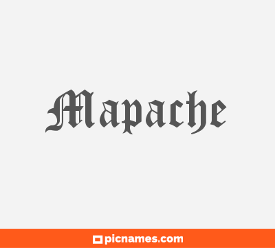 Mapache