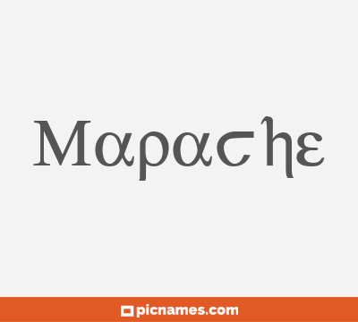 Mapache