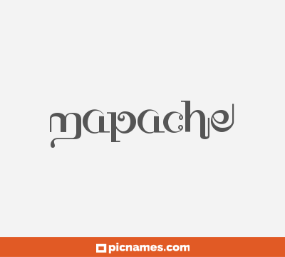 Mapache