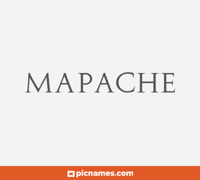 Mapache