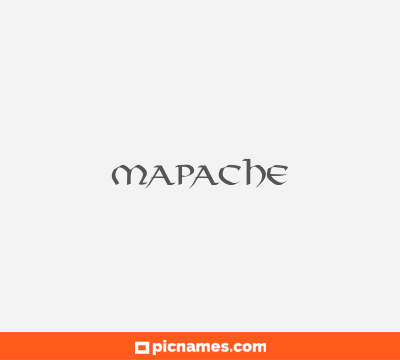 Mapache