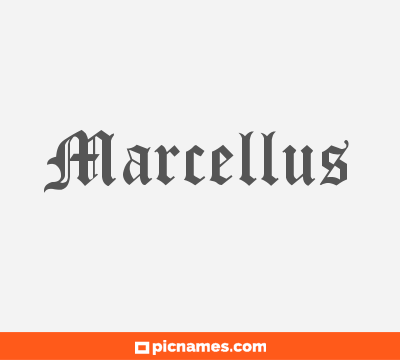 Marcellus