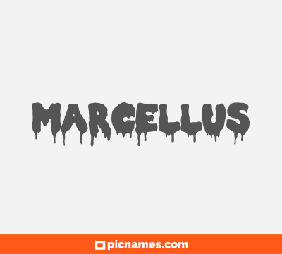 Marcellus